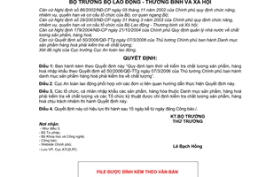 Quyết định 08/2006/QĐ-BLĐTBXH kiểm tra chất lượng sản phẩm, hàng hoá nhập khẩu hướng dẫn 50/2006/QĐ-TTg