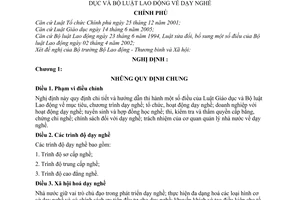 Nghị định 139/2006/NĐ-CP dạy nghề hướng dẫn Luật Giáo dục và Bộ luật Lao động