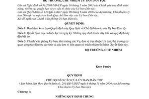 Quyết định 291/2006/QĐ-UBDT chế độ báo cáo  Ủy ban Dân tộc