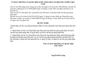 Nghị quyết 1053/2006/NQ-UBTVQH11 giải thích khoản 6 điều 19 của luật kiểm toán nhà nước