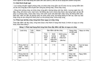 Tiêu chuẩn ngành 04 TCN 88:2006 về quy trình phòng cháy, chữa cháy rừng tràm do Bộ Nông nghiệp và Phát triển nông thôn ban hành