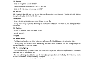 Tiêu chuẩn ngành 04TCN 144:2006 về quy trình kỹ thuật trồng rừng huỷnh do Bộ Nông nghiệp và Phát triển nông thôn ban hành