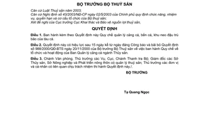 Quyết định 20/2006/QĐ-BTS  Quy chế quản lý cảng cá, bến cá, khu neo đậu trú bão tàu cá