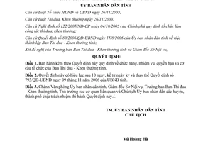 Quyết định 126/2006/QĐ-UBND chức năng cơ cấu tổ chức Ban Thi đua Khen thưởng Bình Định