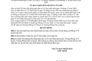 Quyết định 42/2006/QĐ-UBND quy chế tổ chức hoạt động phòng y tế huyện Cần Giờ