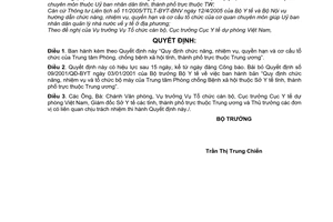 Quyết định 38/2006/QĐ-BYT chức năng, nhiệm vụ, quyền hạn cơ cấu tổ chức Trung tâm Phòng, chống bệnh xã hội tỉnh,thành thuộc TW