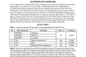 Quyết định 35/2006/QĐ-BTM  lượng hạn ngạch thuế quan hàng nhập khẩu 2007