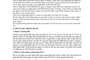 Thông tư 08/2006/TT-BTP hướng dẫn thực hiện quy định nuôi con nuôi yếu tố nước ngoài