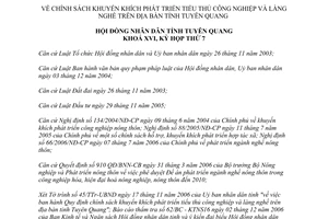 98/2006/NQ-HĐND khuyến khích phát triển tiểu thủ công nghiệp làng nghề