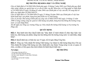 Quyết định 26/2006/QĐ-BKHCN trách nhiệm tổ chức kiểm tra chất lượng sản phẩm, hàng hoá lưu thông  thị trường, trong nước xuất, nhập khẩu