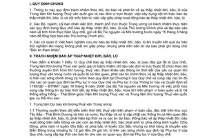 Thông tư 11/2006/TT-BTNMT hướng dẫn Quyết định 245/2006/QĐ-TTg