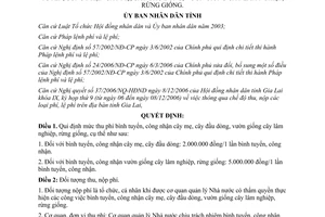 Quyết định 124/2006/QĐ-UBND phí bình tuyển công nhận cây mẹ cây đầu dòng Gia Lai