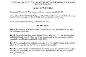 Quyết định 06/2007/QĐ-UBND Quy chế làm việc của UBND Bình Dương Khóa VII