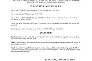 Quyết định 177/2007/QĐ-UBND thủ tục đầu tư công trình thủy lợi nội đồng phục vụ vụ đông đến 2010 Ninh Bình