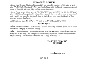 Quyết định 14/2007/QĐ-UBND về Quy định chức năng nhiệm vụ quyền hạn và cơ cấu