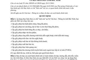 Quyết định 11/2007/QĐ-UBND áp dụng cơ chế một cửa tại Sở Văn hoá Thông tin Bắc Ninh