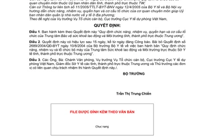 Quyết định 15/2007/QĐ-BYT Quy định chức năng nhiệm vụ quyền hạn cơ cấu tổ chức Trung tâm Bảo vệ sức khoẻ lao động Môi trường tỉnh thành phố trung ương