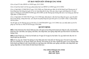 Quyết định 06/2007/QĐ-UBND Quy chế quản lý hoạt động kinh doanh tạm nhập tái