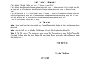 Quyết định 05/2007/QĐ-TTg quy chế thẩm định dự án, dự thảo văn bản quy phạm pháp luật