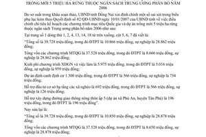 Quyết định 317/QĐĐC-UBND năm 2007 đính chính Quyết định 82/QĐ-UBND Đồng Nai