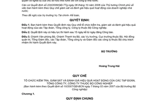 Quyết định 10/2007/QĐ-BCN quy chế tổ chức kiểm tra giám sát đánh giá hiệu quả hoạt động tập đoàn tổng công ty công ty thuộc