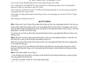 Quyết định 05/2007/QĐ-UBND kiện toàn tổ chức Công ty đầu tư phát triển hạ tầng Kon Tum