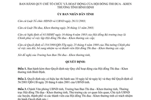 Quyết định 05/2007/QĐ-UBND quy chế hoạt động Hội đồng Thi đua Khen thưởng Bình Định