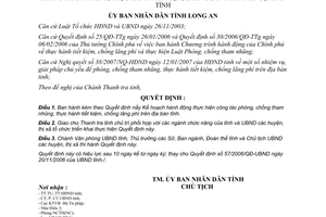 Quyết định 10/2007/QĐ-UBND phòng chống tham nhũng tiết kiệm chống lãng phí Long An