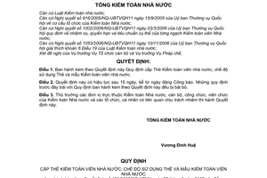 Quyết định 189/2007/QĐ-KTNN Quy định Thẻ Kiểm toán viên nhà nước chế độ sử dụng Thẻ mẫu Thẻ Kiểm toán viên nhà nước