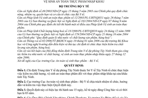 Quyết định 20/2007/QĐ-BYT chỉ định tổ chức thực hiện kiểm tra nhà nước chất lượng vệ sinh an toàn thực phẩm nhập khẩu