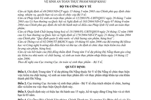 Quyết định19/2007/QĐ-BYT chỉ định tổ chức kiểm tra nhà nước chất lượng, vệ sinh an toàn thực phẩm nhập khẩu