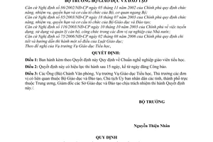Quyết định 05/2007/QĐ-BGDĐT quy định chuẩn nghề nghiệp giáo viên tiểu học