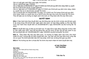 Quyết định 14/2007/QĐ-BTC Hệ thống báo cáo tài chính kế toán quản trị áp dụng Chế độ kế toán ngân sách nhà nước hướng dẫn Quyết định 24/2006/QĐ-BTC