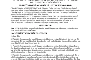 Quyết định 20/2007/QĐ-BNN phê duyệt Chiến lược quốc gia sau thu hoạch lúa gạo, ngô, đậu tương lạc đến năm 2020
