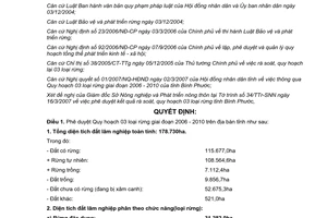 Quyết định 11/2007/QĐ-UBND phê duyệt Quy hoạch 03 loại rừng