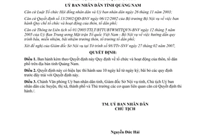 Quyết định 07/2007/QĐ-UBND Quy định tổ chức và hoạt động của thôn, tổ dân phố