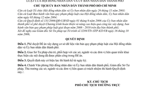 Quyết định 1163/2007/QĐ-UBND phê duyệt Đề án xây dựng cơ sở dữ liệu văn bản quy phạm pháp luật Hội đồng nhân dân Ủy ban nhân dân thành phố