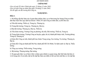 Nghị định 42/2007/NĐ-CP cấp bậc hàm của sĩ quan, hạ sĩ quan trong lực lượng Công an nhân dân