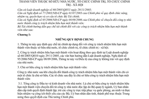 Thông tư 24/2007/TT-BTC hướng dẫn quy chế tài chính công ty TNHH một thành viên thuộc sở hữu nhà nước tổ chức chính trị tổ chức chính trị-xã hội
