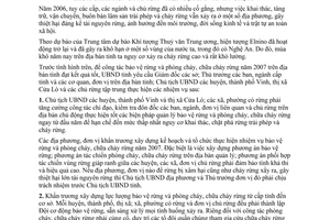 Chỉ thị 11/2007/CT-UBND bảo vệ phòng cháy chữa cháy rừng 2007 Nghệ An