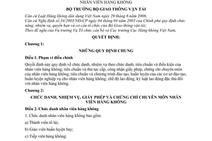 Quyết định 19/2007/QĐ-BGTVT nhân viên hàng không cơ sở đào tạo huấn luyện nghiệp vụ nhân viên hàng không