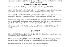 Quyết định 15/2007/QĐ-UBND tiêu chuẩn Trưởng phòng Tư pháp cấp huyện Đắk Lắk
