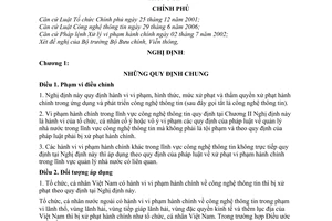 Nghị định 63/2007/NĐ-CP xử phạt vi phạm hành chính trong công nghệ thông tin