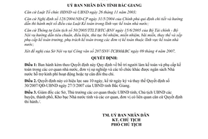Quyết định 41/2007/QĐ-UBND bố trí người làm kế toán phụ cấp kế toán Bắc Giang
