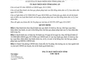 Quyết định 14/2007/QĐ-UBND ban hành rà soát văn bản Quy phạm pháp luật Long An
