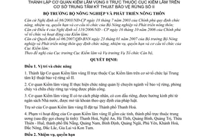 Quyết định 31/2007/QĐ/BNN thành lập cơ quan Kiểm lâm vùng II thuộc Cục Kiểm lâm cơ sở Trung tâm kỹ thuật bảo vệ rừng số II