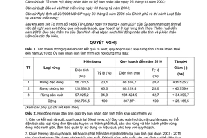 Nghị quyết 5b/2007/NQCĐ-HĐND kết quả rà soát quy hoạch lại 3 loại rừng Thừa Thiên Huế 2010