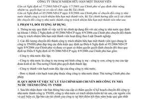 Thông tư 25/2007/TT-BTC hướng dẫn xử lý tài chính chuyển đổi công ty nhà nước thành công ty trách nhiệm hữu hạn một thành viên