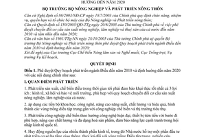 Quyết định 39/2007/QĐ-BNN phê duyệt Quy hoạch phát triển ngành Điều đến năm 2010 định hướng đến 2020
