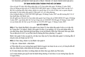 Quyết định 68/2007/QĐ-UBND thành lập Bệnh viện quận 6 thuộc Ủy ban nhân dân quận 6